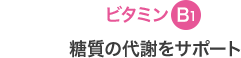 ビタミンB1 糖質の代謝をサポート