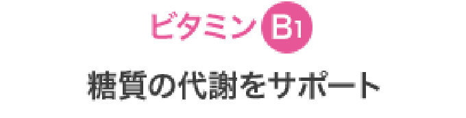 ビタミンB1 糖質の代謝をサポート