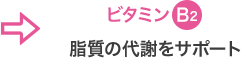 ビタミンB2 脂質の代謝をサポート