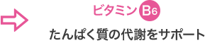 ビタミンB6 たんぱく質の代謝をサポート