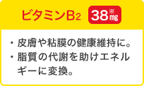 ビタミンB2 38mg／皮膚や粘膜の健康維持に。糖質の代謝を助けエネルギーに変換。