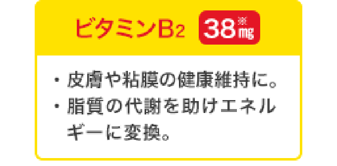 ビタミンB2 38mg／皮膚や粘膜の健康維持に。糖質の代謝を助けエネルギーに変換。