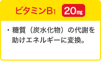 ビタミンB1 20mg／糖質（炭水化物）の代謝を助けエネルギーに変換。