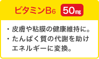 ビタミンB6 50mg／皮膚や粘膜の健康維持に。タンパク質の代謝を助けエネルギーに変換。