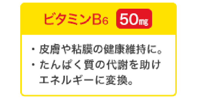 ビタミンB6 50mg／皮膚や粘膜の健康維持に。タンパク質の代謝を助けエネルギーに変換。