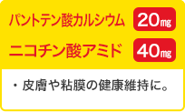 パントテン酸カルシウム 20mg・ニコチン酸アミド 40mg／皮膚や粘膜の健康維持に。