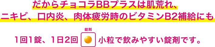 だからチョコラBBプラスは肌荒れ、ニキビ、口内炎、肉体疲労時のビタミンB2補給にも 1日1錠、1日2回小粒で飲みやすい錠剤です。