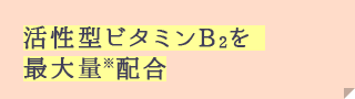 活性型ビタミンB2を最大量※配合