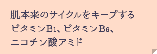 肌本来のサイクルをキープするビタミンB1、ビタミンB6、ニコチン酸アミド