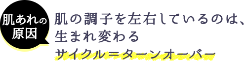 肌あれの原因 肌の調子を左右しているのは、生まれ変わるサイクル＝ターンオーバー