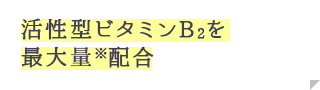 活性型ビタミンB2を最大量※配合