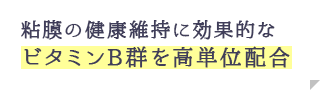 粘膜の健康維持に効果的なビタミンB群を高単位配合