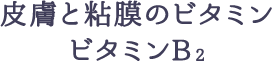 皮膚と粘膜のビタミンビタミンB2