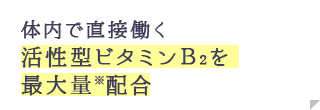 体内で直接働く活性型ビタミンB2を最大量※配合