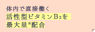 体内で直接働く活性型ビタミンB2を最大量※配合