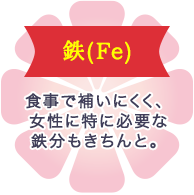 鉄(Fe) 食事で補いにくく、女性に特に必要な鉄分もきちんと。