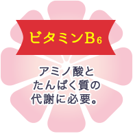 ビタミンB6 アミノ酸とたんぱく質の代謝に必要。