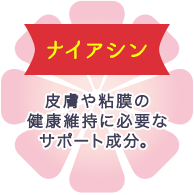 ナイアシン 皮膚や粘膜の健康維持に必要なサポート成分。