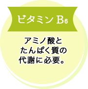 ビタミンB6 アミノ酸とたんぱく質の代謝に必要。