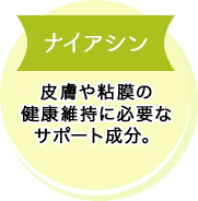 ナイアシン 皮膚や粘膜の健康維持に必要なサポート成分。