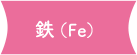 鉄（Fe） 食事で補いにくく、女性にも必要な鉄分もきちんと。