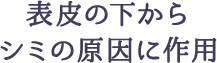 表皮の下からシミの原因に作用