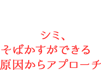 エーザイだけのトリプルアクション処方で、シミ、そばかすができる原因からアプローチ