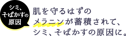 シミ、そばかすの原因 肌を守るはずのメラニンが蓄積されて、シミ、そばかすの原因に。