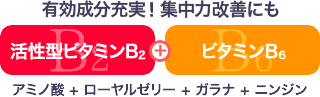 有効成分充実！集中力改善にも 活性型ビタミンB2 + ビタミンB6