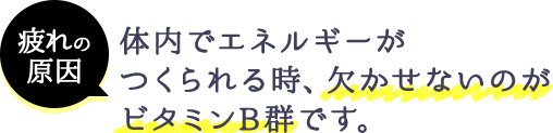 疲れの原因 体内でエネルギーがつくられる時、欠かせないのがビタミンB群です。