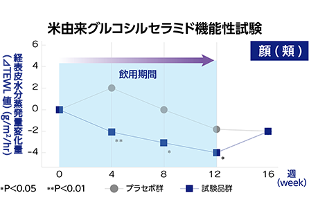 米由来グルコシルセラミド摂取後の水分蒸散量についての臨床試験結果