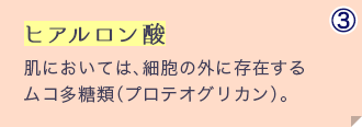 ヒアルロン酸 肌においてはムコ多糖類(プロテオグリカン)。