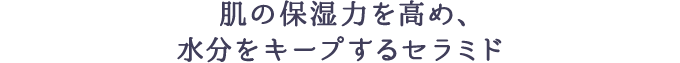 肌の保湿力を高め、水分をキープするセラミド