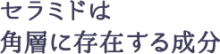 セラミドは角層に存在する成分