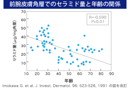 前腕皮膚角層でのセラミド量と年齢の関係