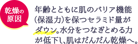 年齢とともに肌のバリア機能（保湿力）を保つセラミド量がダウン。水分をつなぎとめる力が低下し、肌はだんだん乾燥へ。